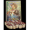 MAGIC-LANDES - Streamer (Mouth Coil) Papier Crepon