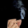 MAGIC-LANDES - Little Smoke