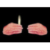 MAGIC-LANDES - F. P. Flamme Vernet