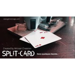 MAGIC-LANDES - Split Card de Mickael Chatelain