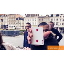 MAGIC-LANDES - Split Card de Mickael Chatelain