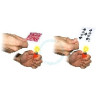 MAGIC-LANDES - Cartes Chameleon