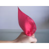 Foulard et son F.P.