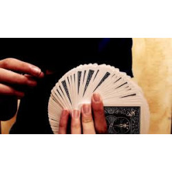 Nestorizer (gimmick seul)