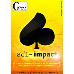 Sel Impact de Mickael Chatelain