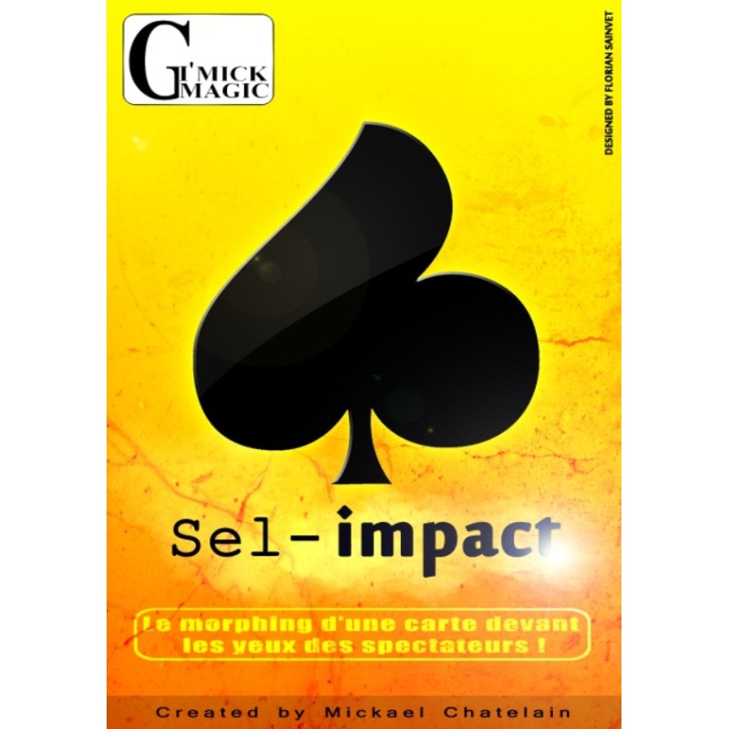 Sel Impact de Mickael Chatelain