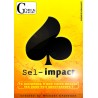Sel Impact de Mickael Chatelain