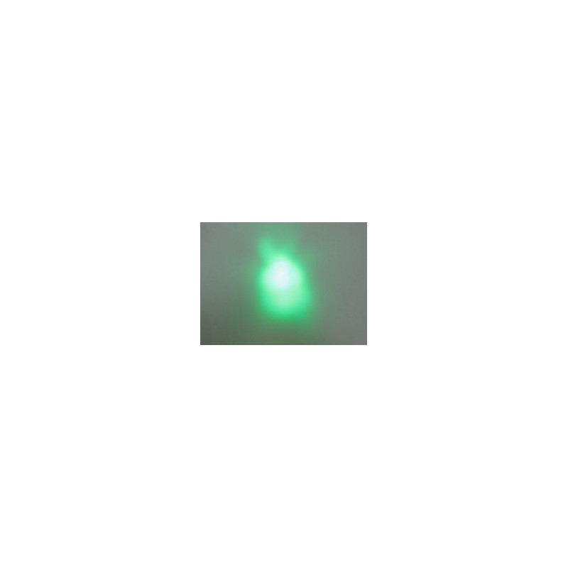 MAGIC-LANDES - Delight Vert