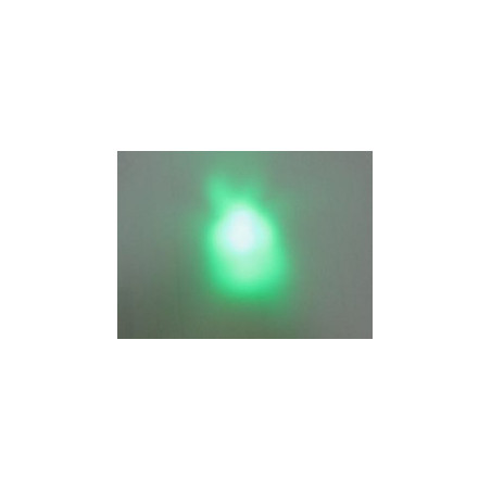 MAGIC-LANDES - Delight Vert