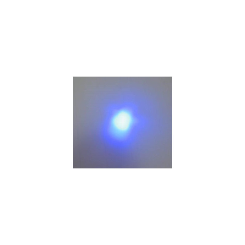 MAGIC-LANDES - Delight bleu