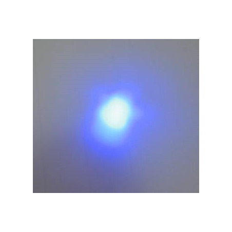 MAGIC-LANDES - Delight bleu