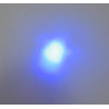 MAGIC-LANDES - Delight bleu