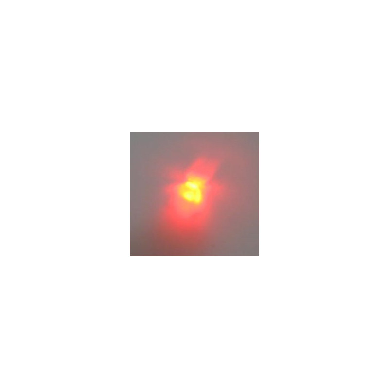 MAGIC-LANDES - Delight rouge