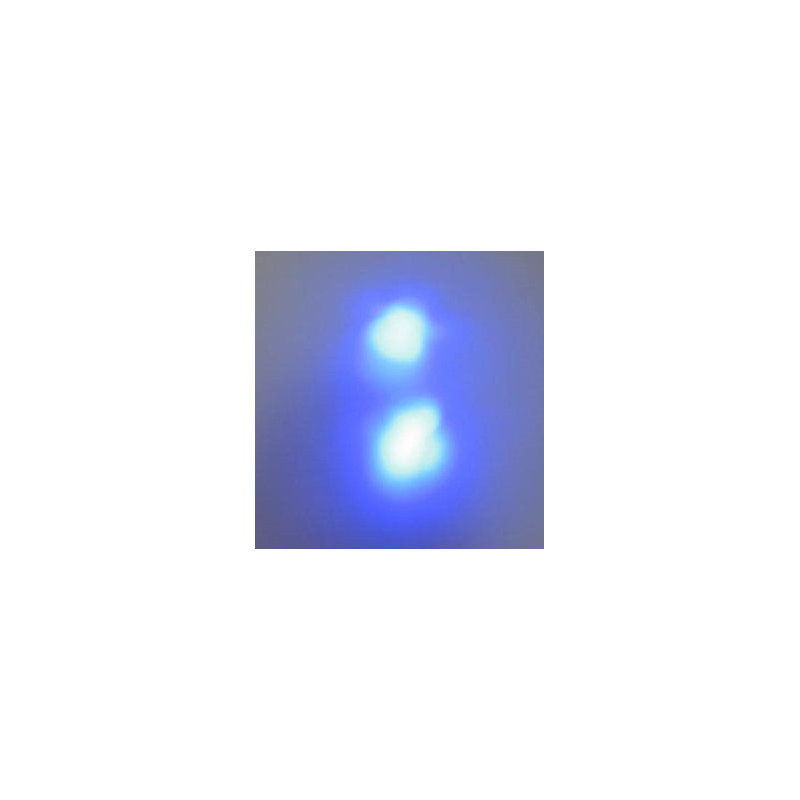 MAGIC-LANDES - Delight la paire (couleur bleu)