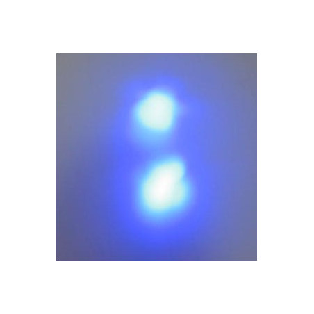 MAGIC-LANDES - Delight la paire (couleur bleu)