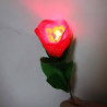 MAGIC-LANDES - Rose A Delight