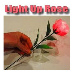 MAGIC-LANDES - Rose A Delight