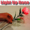 MAGIC-LANDES - Rose A Delight