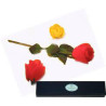 MAGIC-LANDES - Floral Fantasy Tenyo