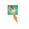 MAGIC-LANDES - Foulard de Copperfield