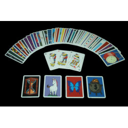 MAGIC-LANDES - Jeu Rainbow 2