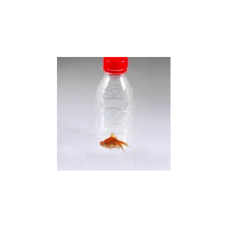 MAGIC-LANDES - Le poisson Dans La Bouteille
