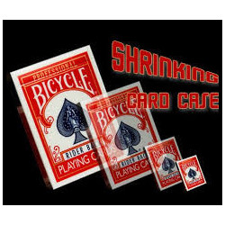 MAGIC-LANDES - Shrinking, Shrinking