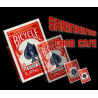MAGIC-LANDES - Shrinking, Shrinking