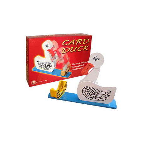 MAGIC-LANDES - Canard à la Carte