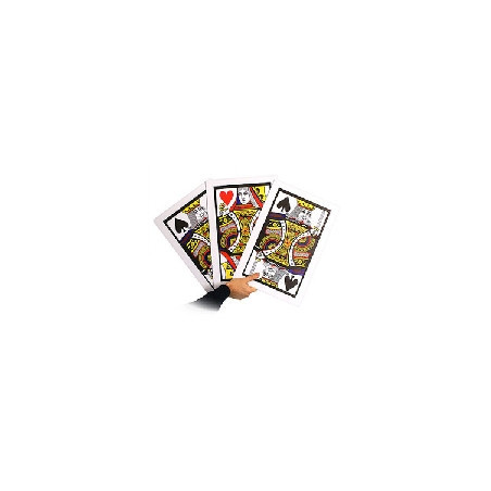 MAGIC-LANDES - Carte Geante pour Bonneteau