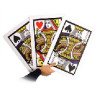MAGIC-LANDES - Carte Geante pour Bonneteau