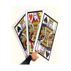 MAGIC-LANDES - Carte Geante pour Bonneteau