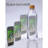 MAGIC-LANDES - Telephone Dans La Bouteille