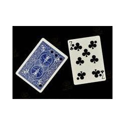 MAGIC-LANDES - Carte Matrix
