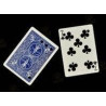 MAGIC-LANDES - Carte Matrix