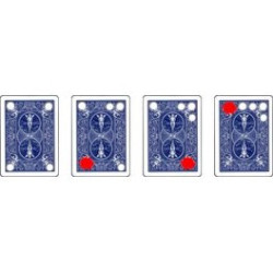MAGIC-LANDES - Carte Matrix