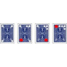 MAGIC-LANDES - Carte Matrix
