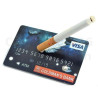 MAGIC-LANDES - Carte Visa