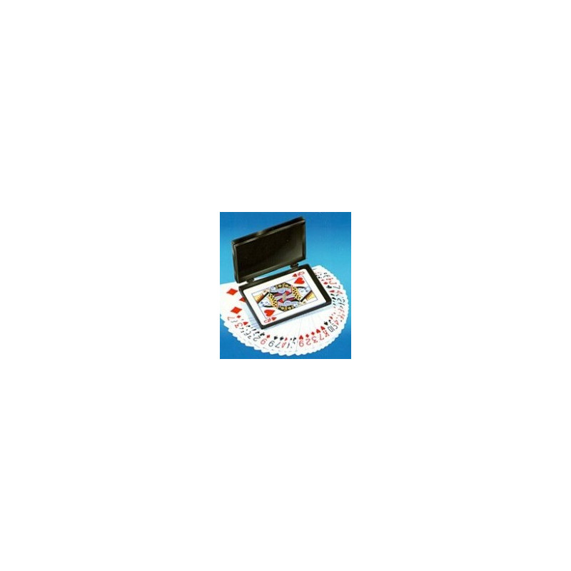 MAGIC-LANDES - Card Case