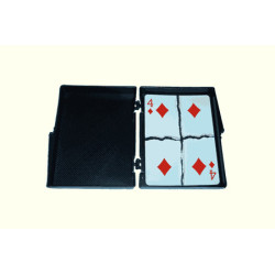 MAGIC-LANDES - Card Case