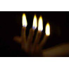 MAGIC-LANDES - Flammes Aux Bouts Des Doigts